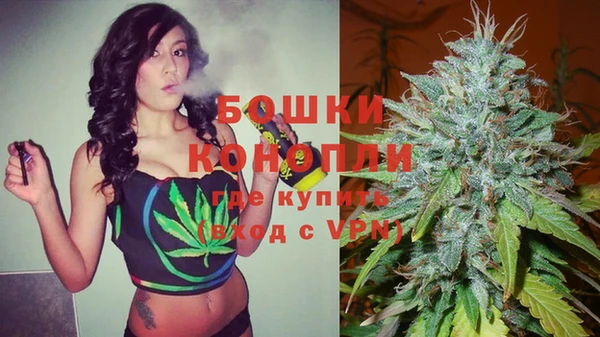 крисы Белоозёрский