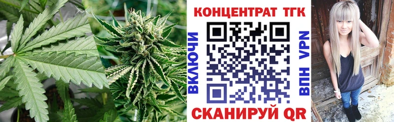 закладка Бородино Дистиллят ТГК концентрат