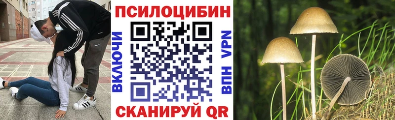 kraken сайт  Бородино  Галлюциногенные грибы Magic Shrooms 
